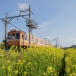 春色の電車