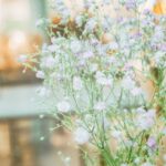 春の花