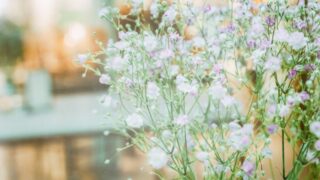 春の花