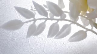 モノトーン
