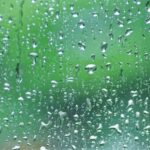 雨