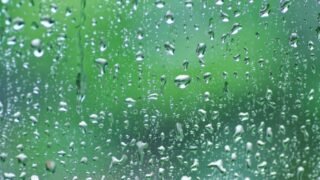 雨