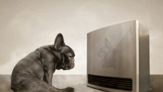 ファンヒーター ストーブ