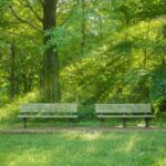 ベンチ 木漏れ日