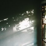 窓の日差し