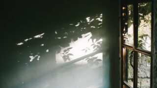 窓の日差し