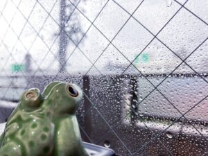 雨模様