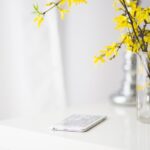 花とスマートフォン